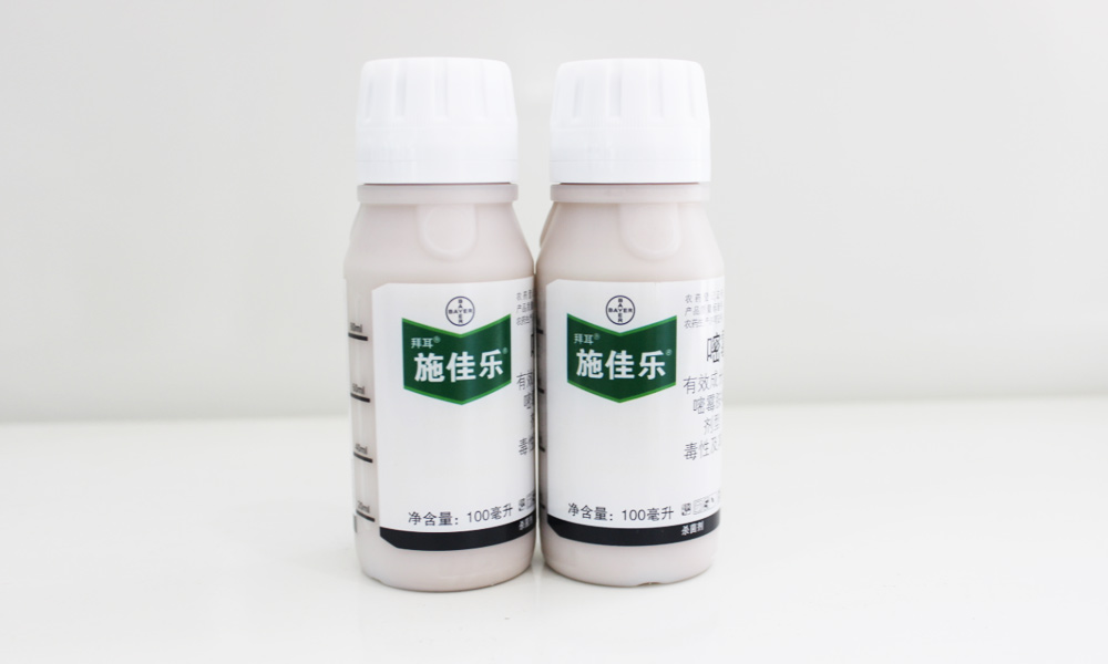 施佳乐