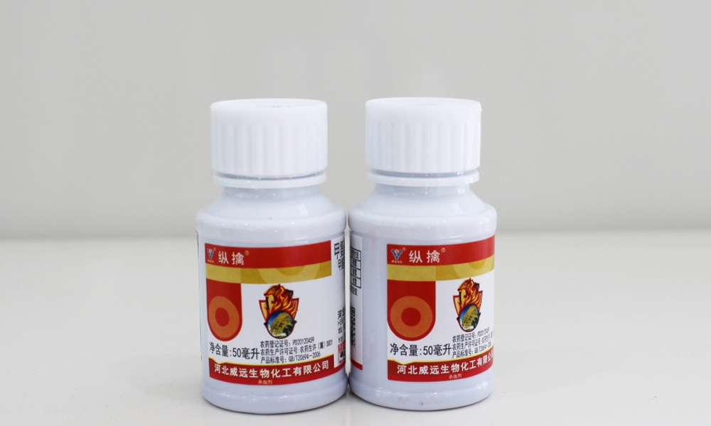 纵擒